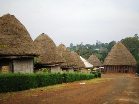 Voyage ouest Cameroun