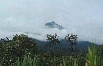 Le Mont Cameroun, quand y aller ?