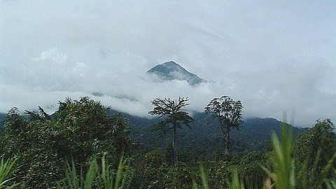 Le Mont Cameroun, quand y aller ?
