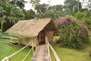 oveng lodge foret equatoriale cameroun