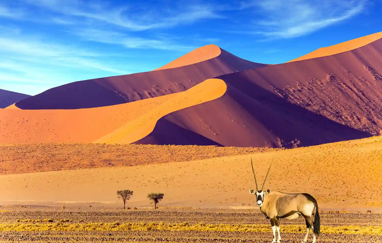 desert de Namib