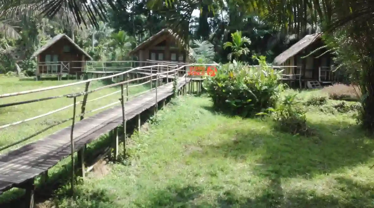 bungalow ecotourisme sud cameroun