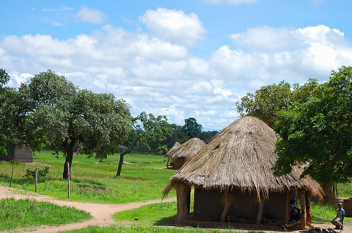ranch de Ngaoundaba
