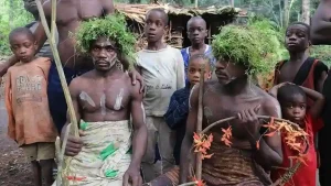 Rencontre Pygmées forêt équatoriale Sud Cameroun immersion culturelle