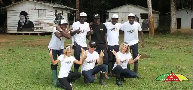 Volontaire nourrissage chimpanzé sanctuaire Pongo Cameroun