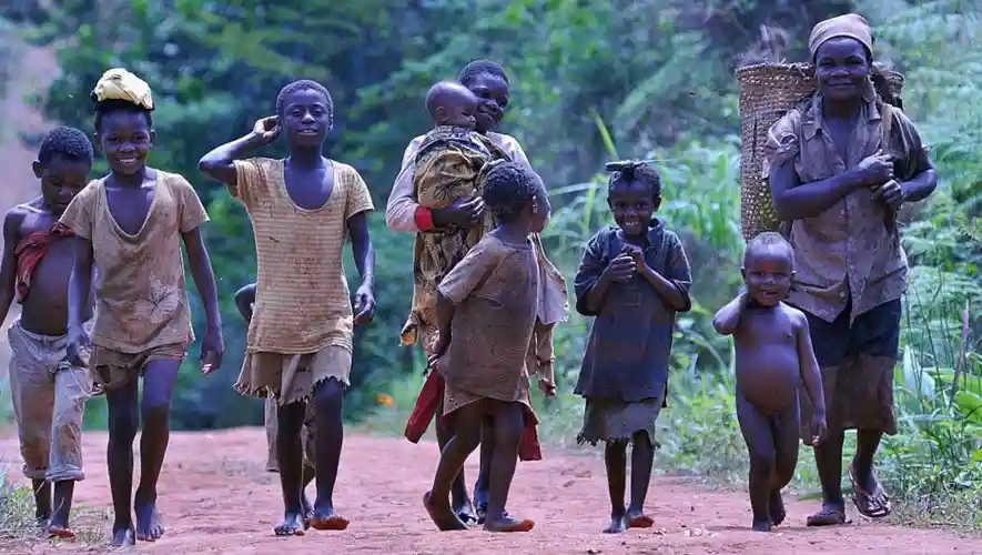 Rencontre Pygmées forêt équatoriale Sud Cameroun immersion culturelle