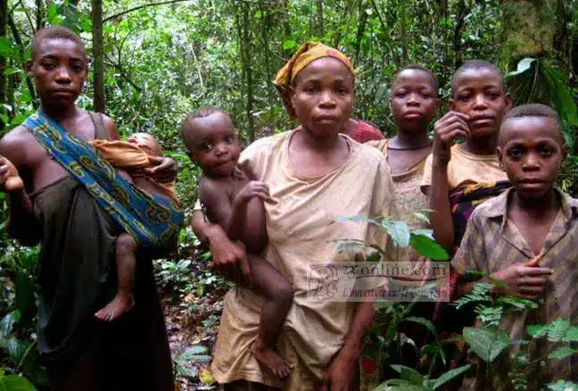 Rencontre Pygmées forêt équatoriale Sud Cameroun immersion culturelle